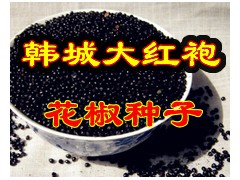 韩城大红袍花椒种子图1