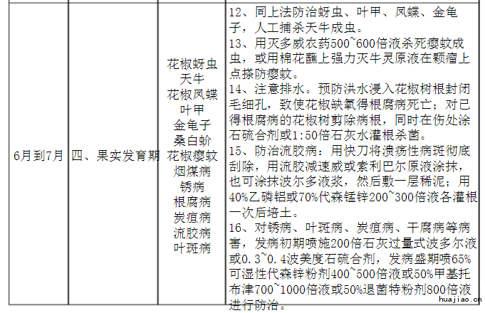 花椒病虫害防治时间表